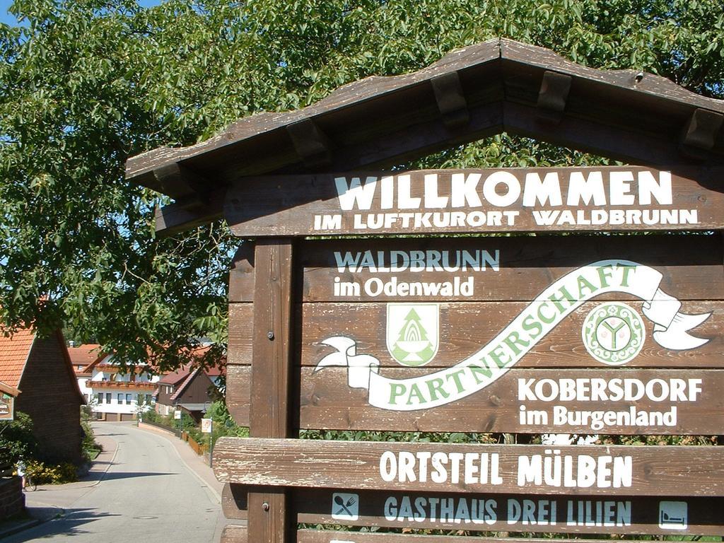 Hotel Drei Lilien Waldbrunn (Baden-Wurttemberg) Bagian luar foto