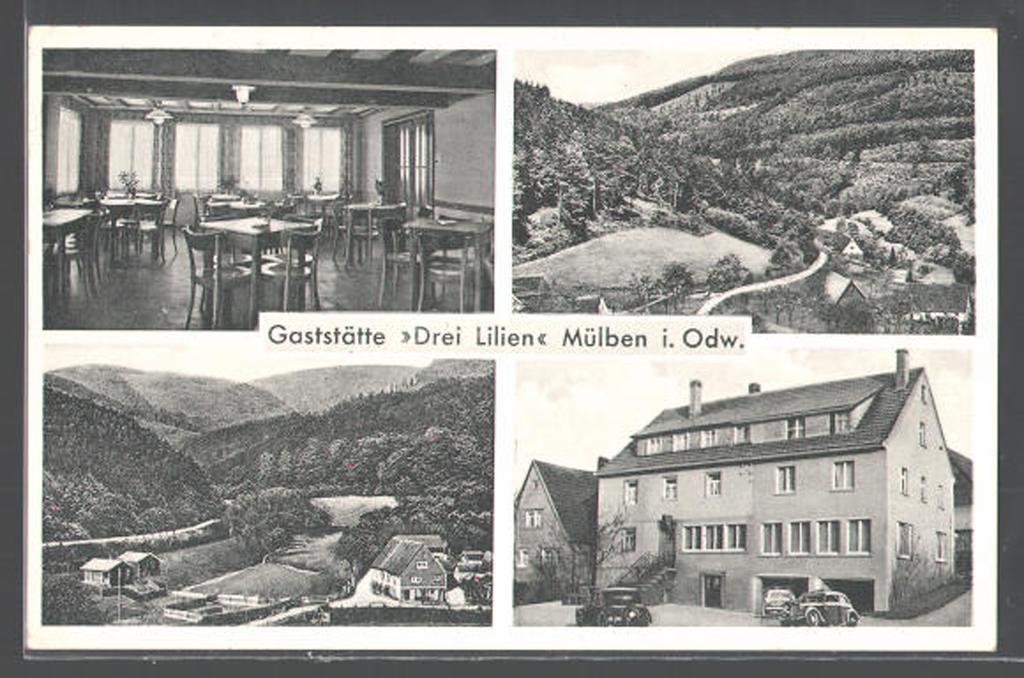 Hotel Drei Lilien Waldbrunn (Baden-Wurttemberg) Bagian luar foto