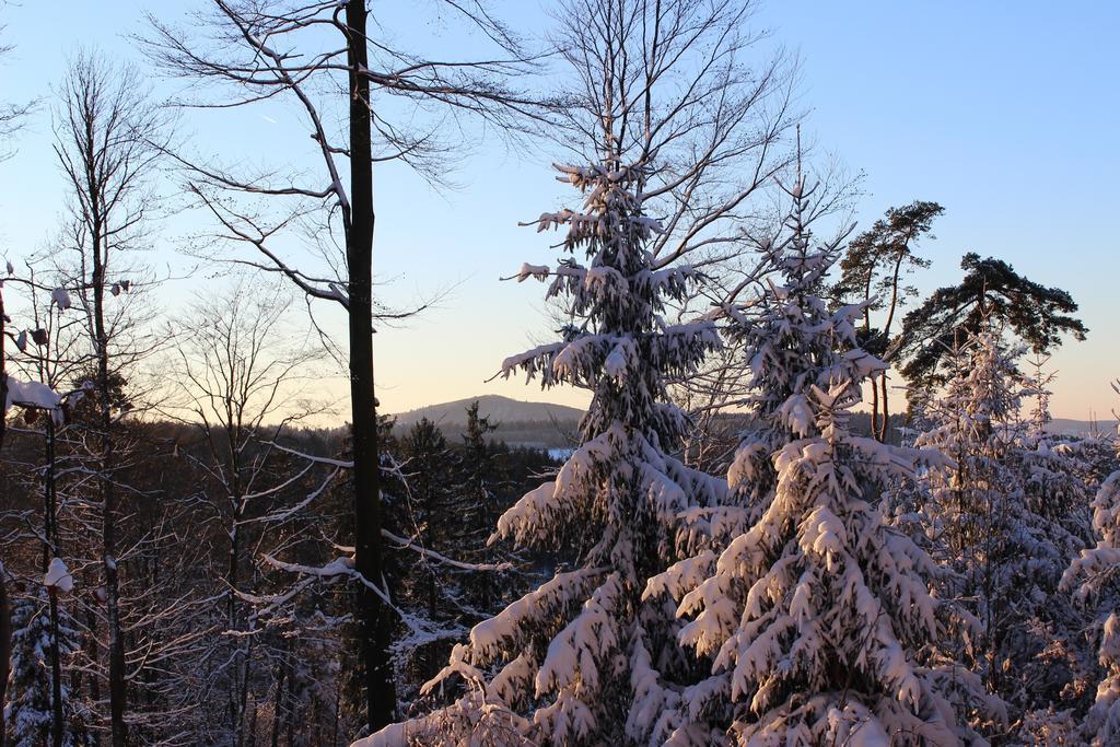 Hotel Drei Lilien Waldbrunn (Baden-Wurttemberg) Bagian luar foto